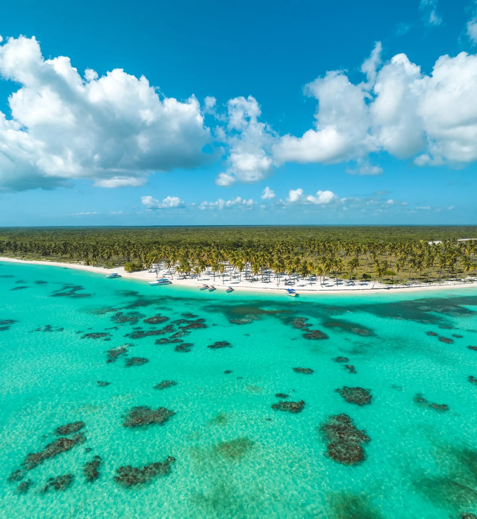 Isla Saona en Catamarán